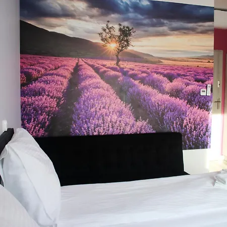 酒店 U George'a Ziebice